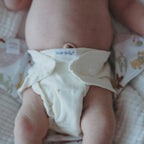 Inner - 3 pack Cloth Diaper