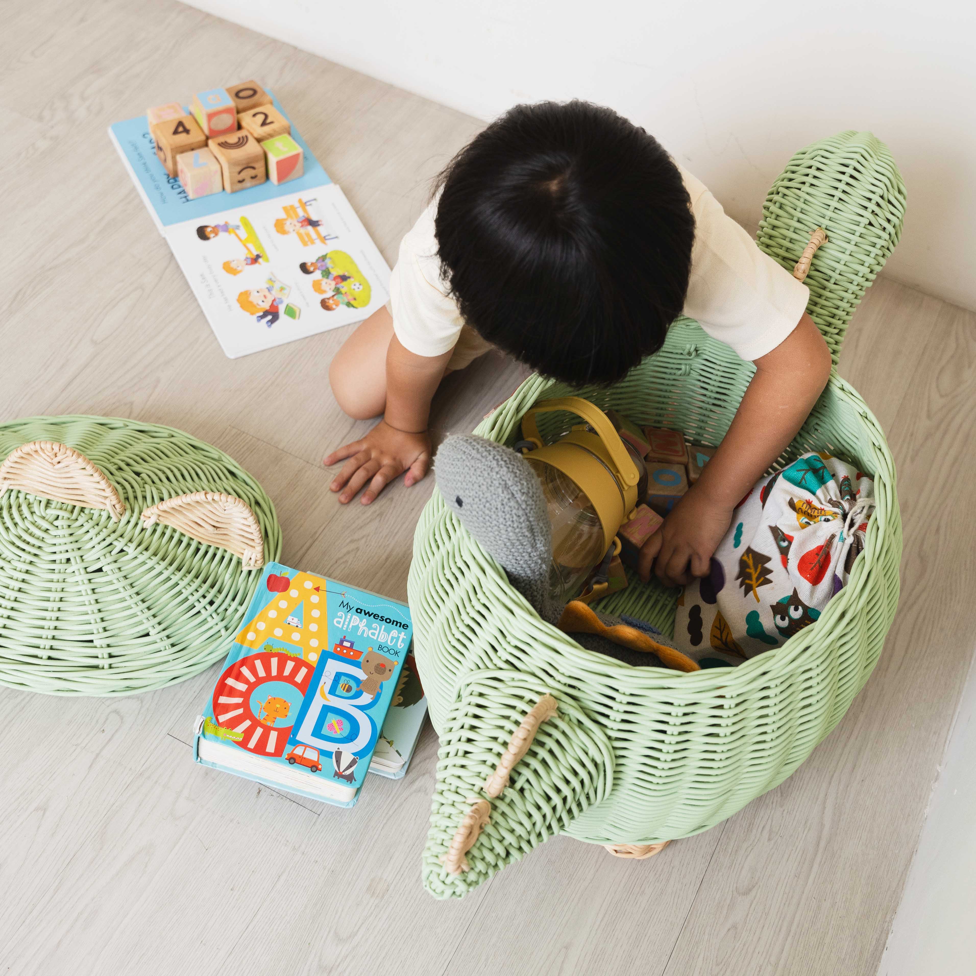 Handcrafted- Dinosaur Storage Basket (Large) -Rattan Wicker
