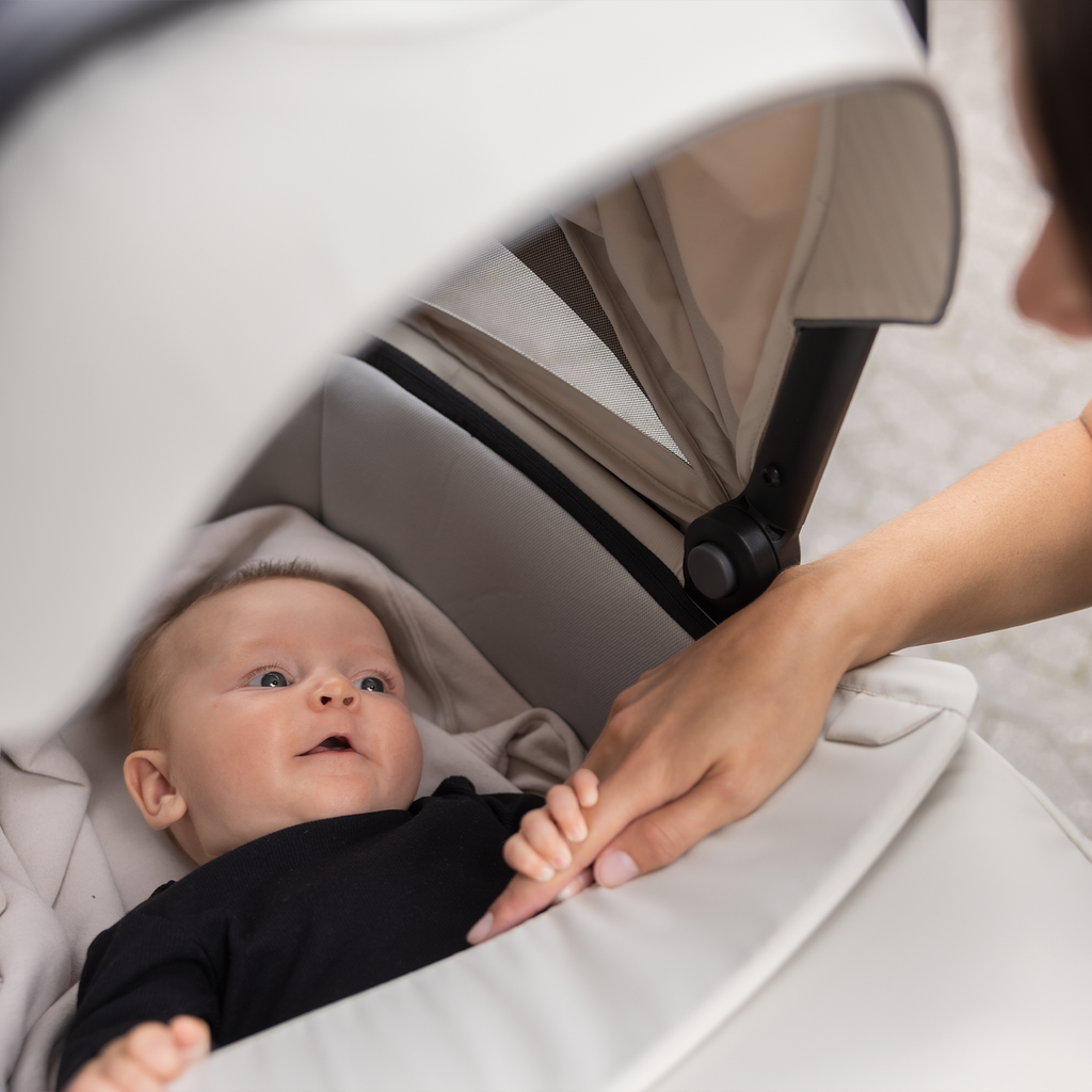 Thule Bassinet- Local Pickup