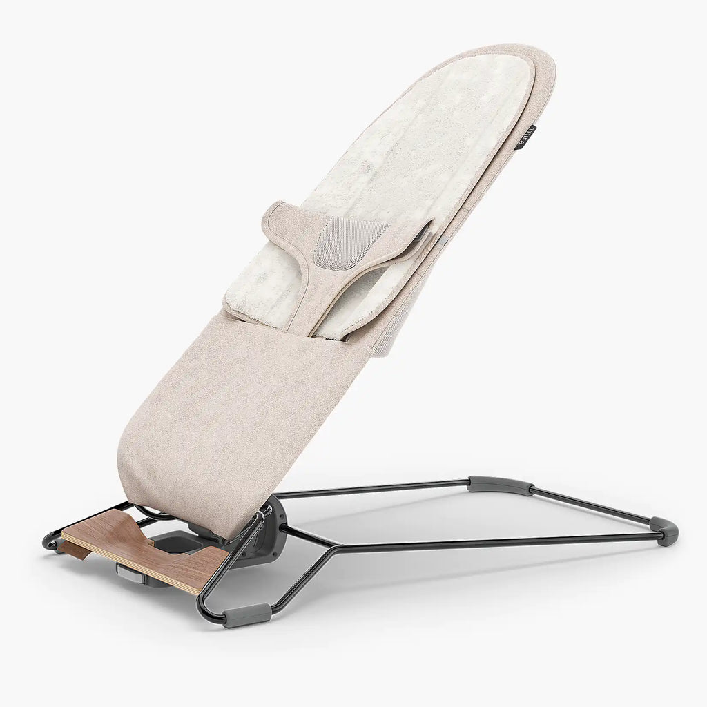 Mira 2-in-1 Bouncer and Seat - Local Pickup