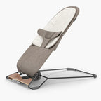 Mira 2-in-1 Bouncer and Seat - Local Pickup