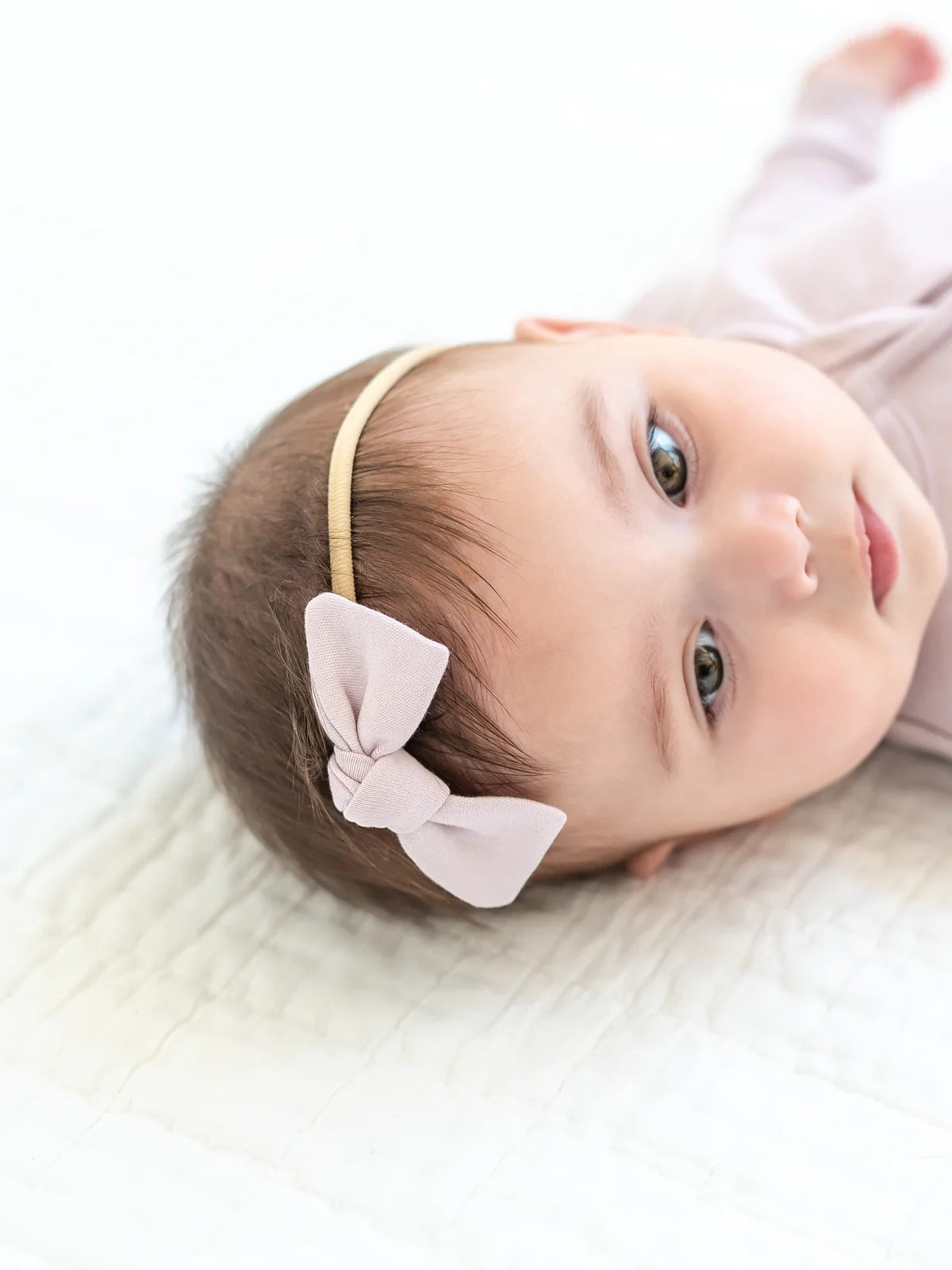 Cotton Dainty Bow- Wisteria