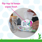 Dapple Pacifier Wipes, Fragrance Free, 40 ct