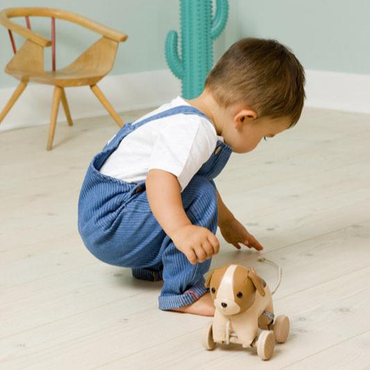 Adrien the Dog Pull Along Friend