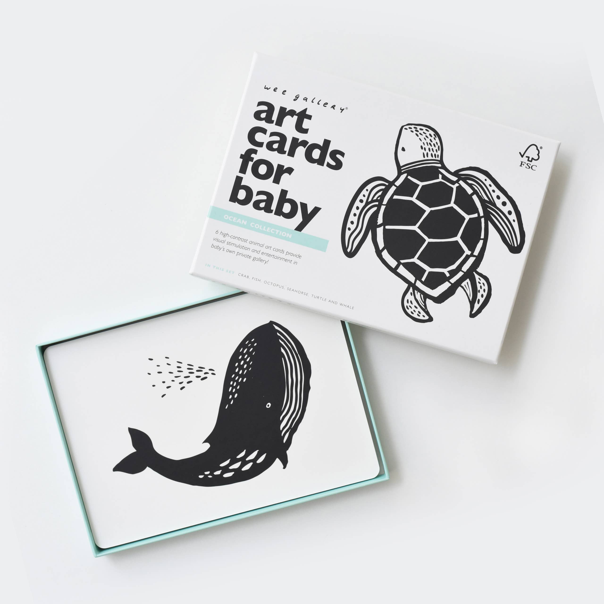 Art Cards for Baby - Ocean Animals - Infant Flash Cards