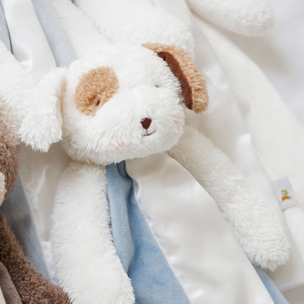 Simple Skipit Puppy Buddy Blanket