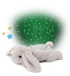 Dream Buddies- Benny Bunny