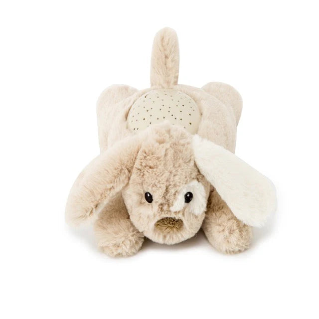 Dream Buddies- Patch Puppy