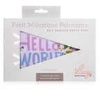 Little Artist Pennant