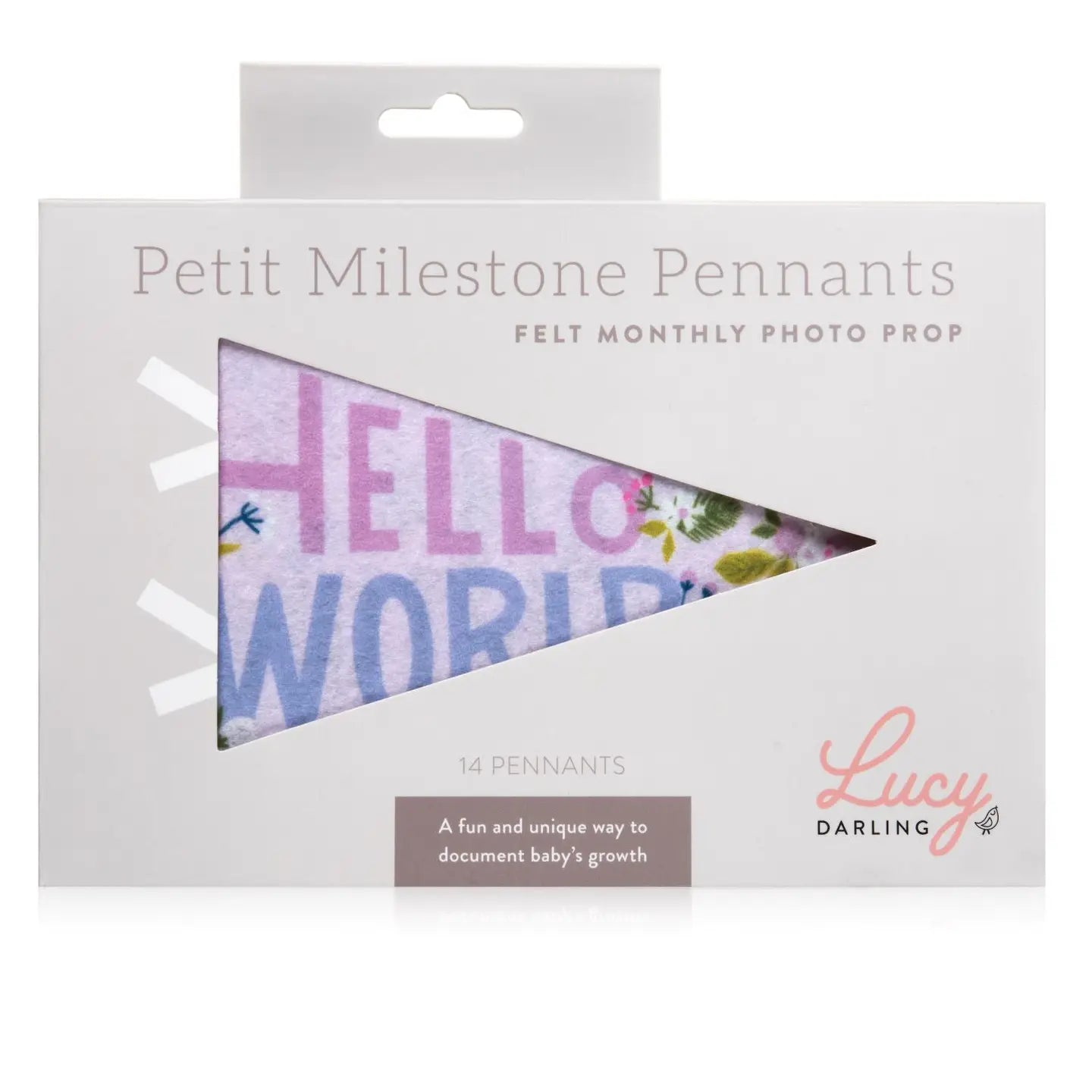 Little Artist Pennant
