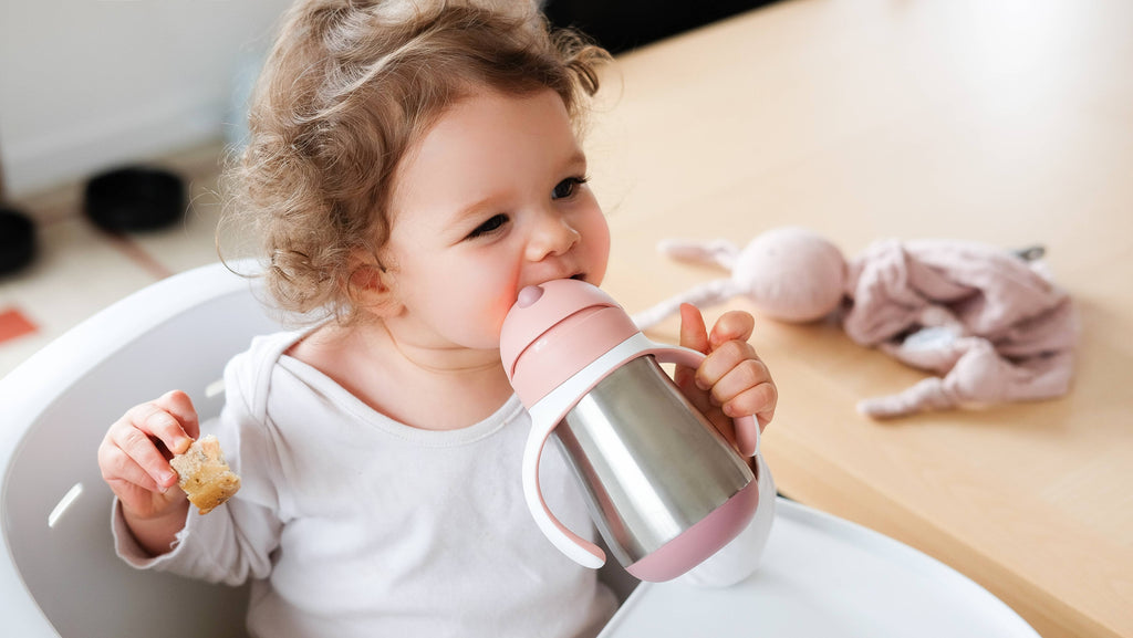 BEABA Stainless Steel Straw Sippy Cup - Rose