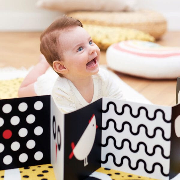 High Contrast Baby Pack for ages: 0m+, 3m+, 6m+