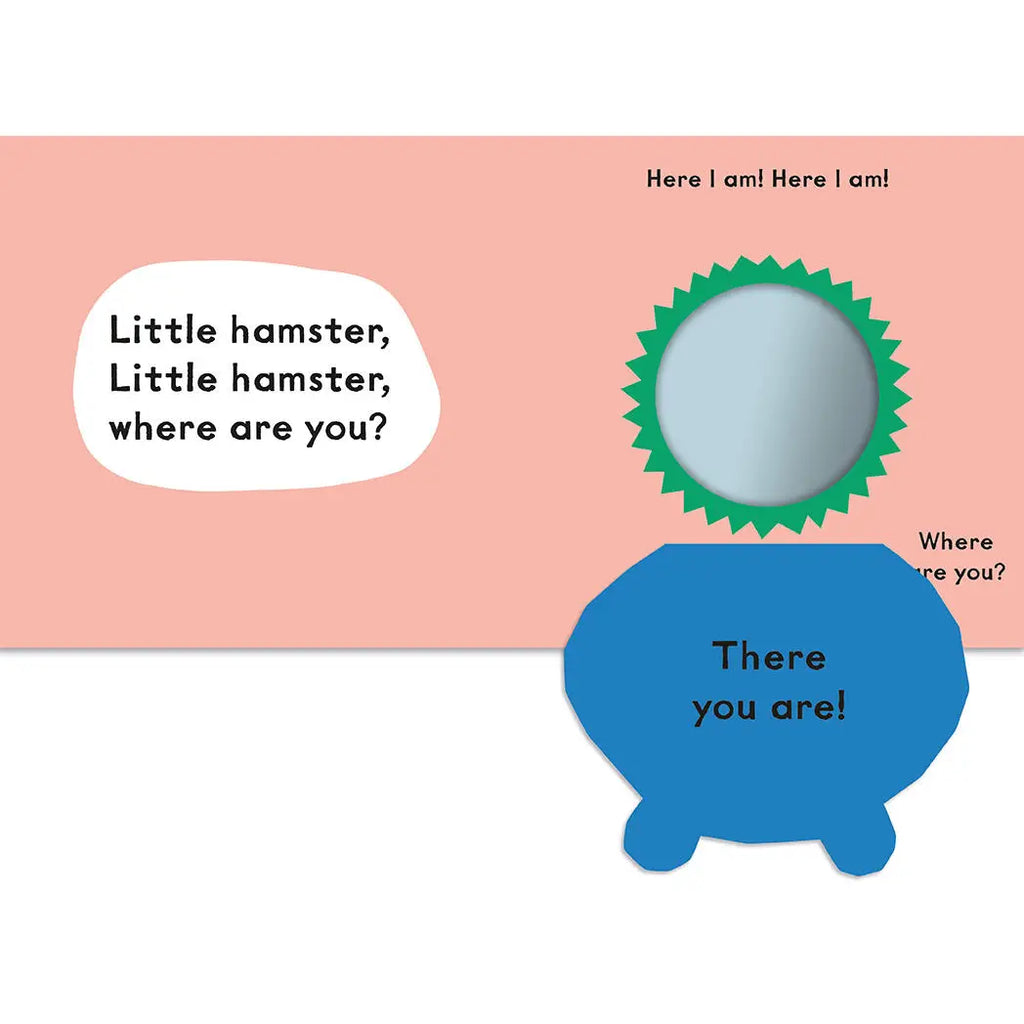 Baby Faces: Little Dog, Where Are You?