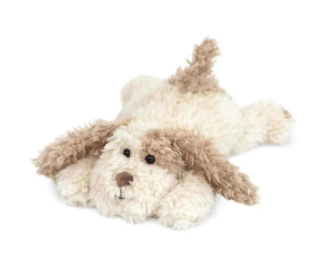 Bogart Puppy