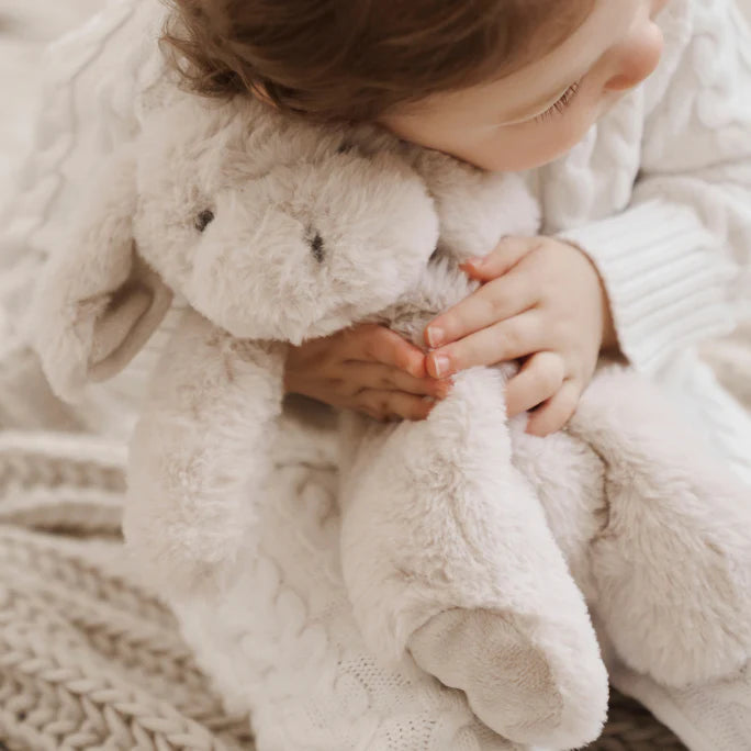 Chase the Puppy Snuggler with Gift Box
