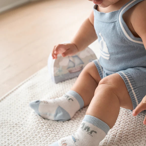 World Explorer Non-Slip Baby Socks, 6 Pack