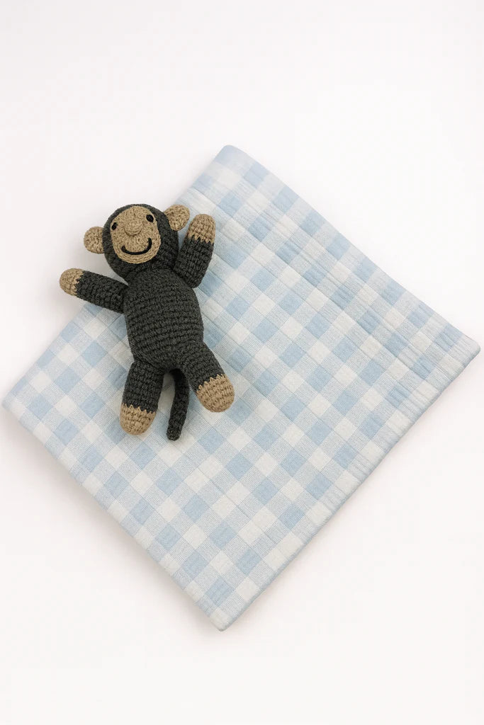 Blue Gingham Check Baby Blanket