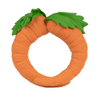 Cathy the Carrot