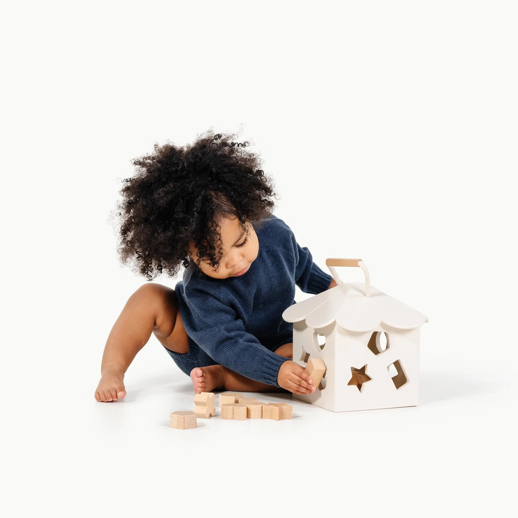 Shape Sorter