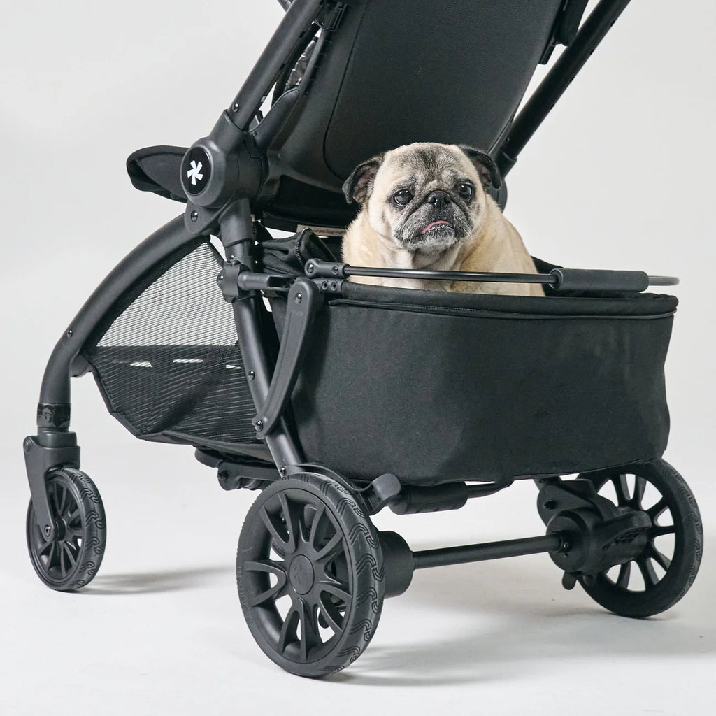 DFY.R1 Pet Basket