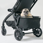 DFY.R1 Pet Basket