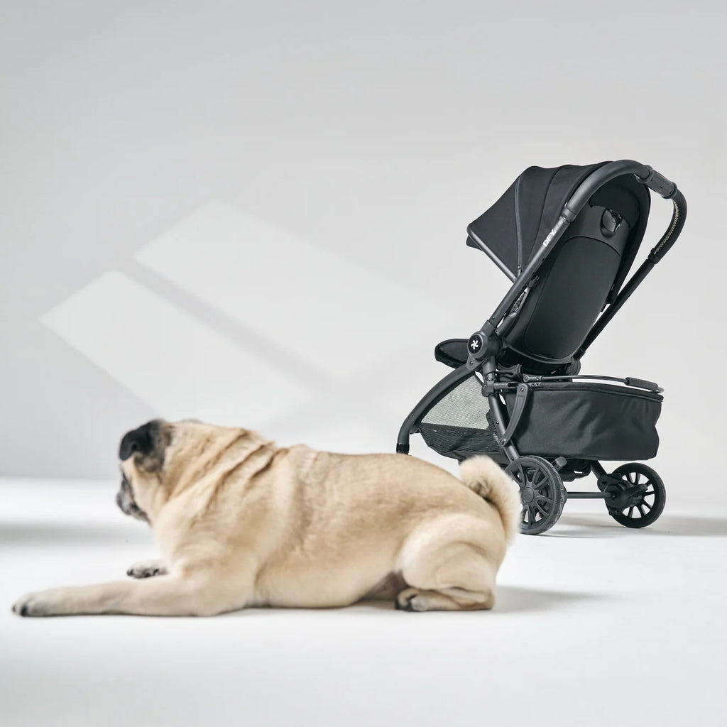 DFY.R1 Pet Basket