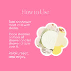 Eucalyptus and Mint Shower Steamers