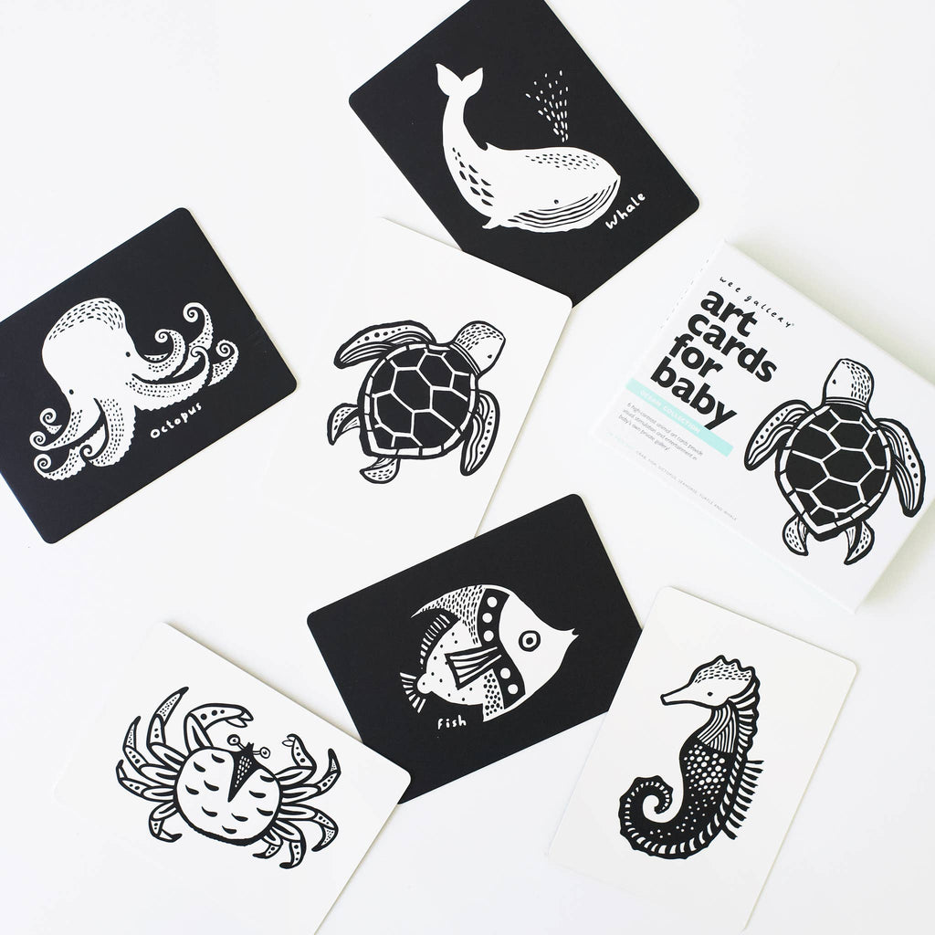 Art Cards for Baby - Ocean Animals - Infant Flash Cards