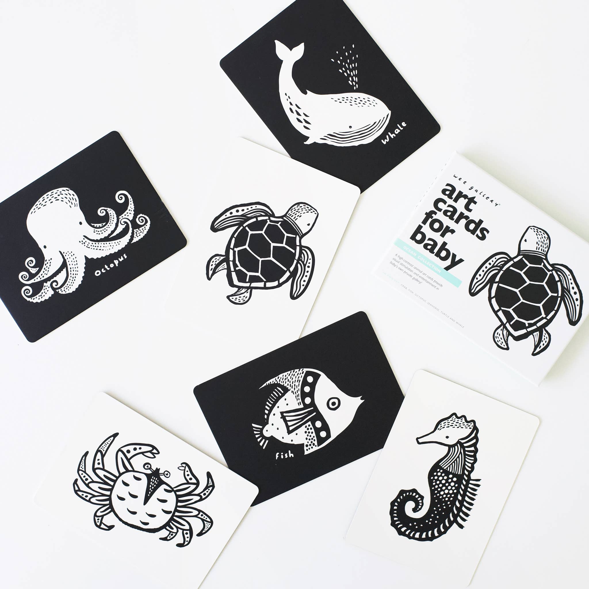 Art Cards for Baby - Ocean Animals - Infant Flash Cards