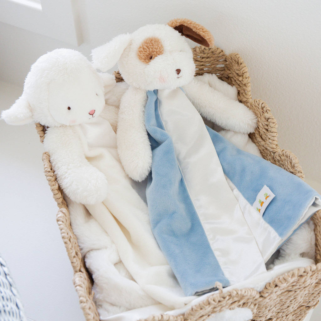 Simple Skipit Puppy Buddy Blanket
