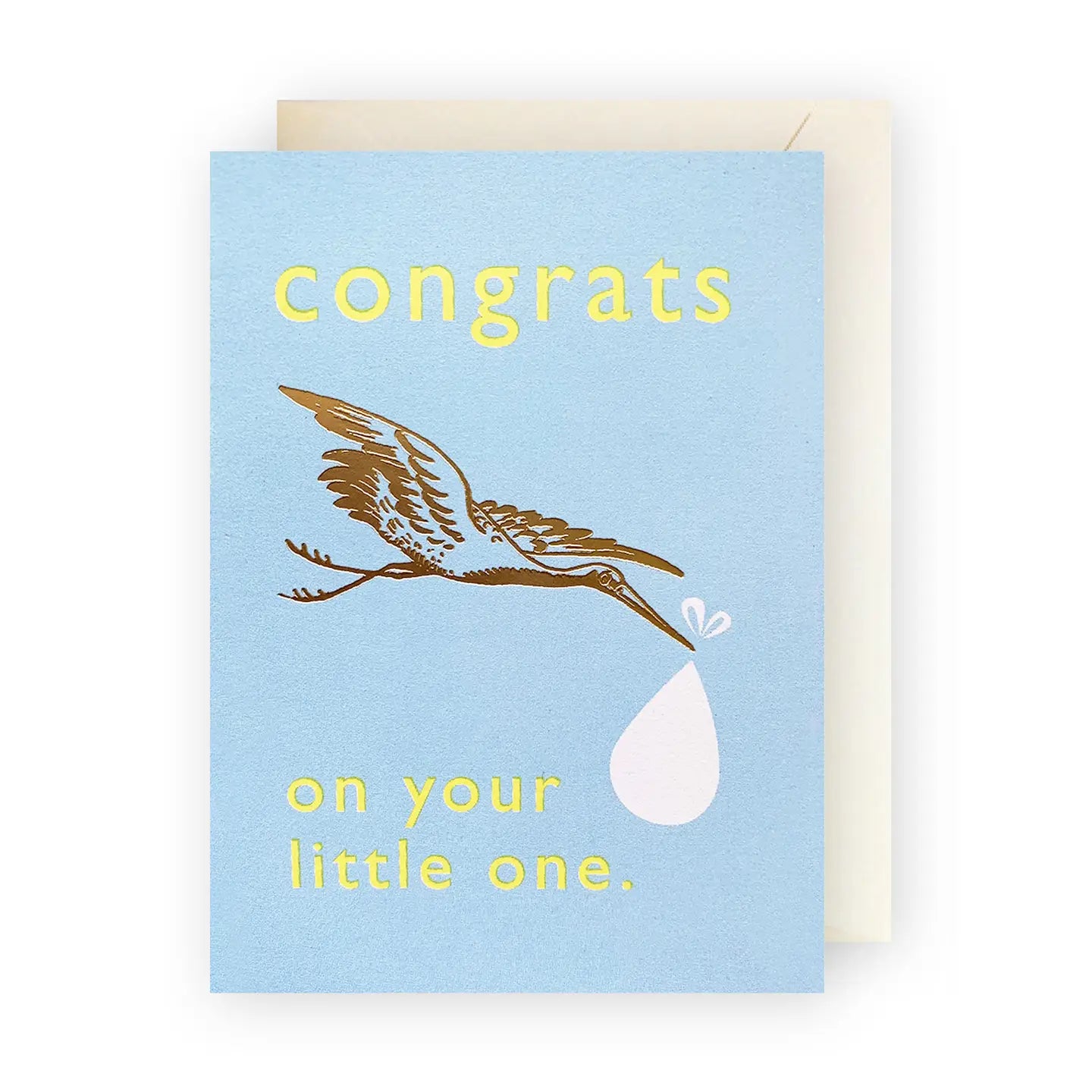 Baby Boy Stork Enclosure Card