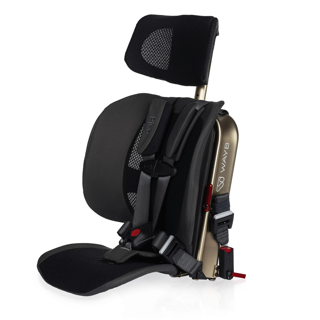 WAYB Pico Car Seat - Local Pickup