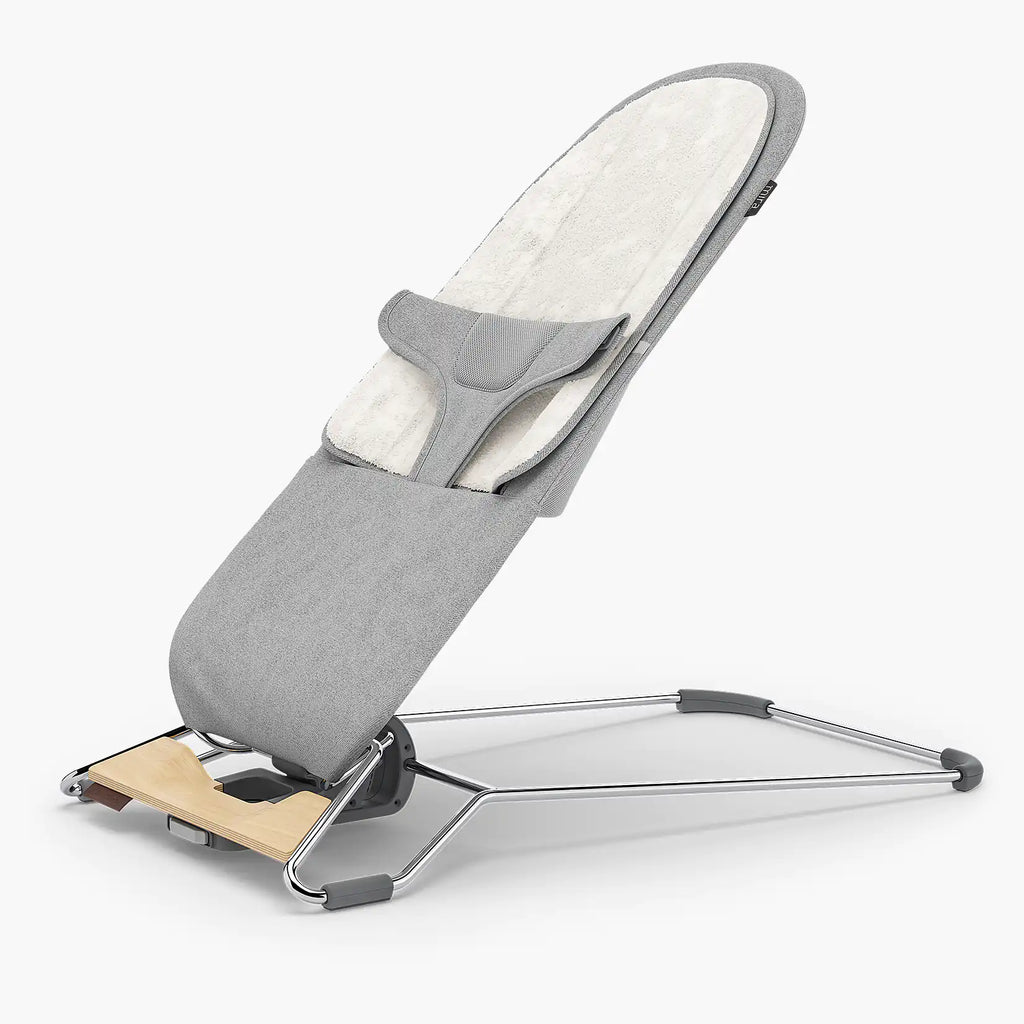 Mira 2-in-1 Bouncer and Seat - Local Pickup