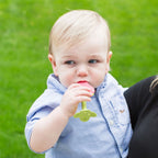 Innobaby Teethin SMART EZ Grip Fruit Teether - Berry
