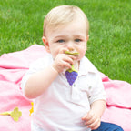 Innobaby Teethin SMART EZ Grip Fruit Teether - Grape
